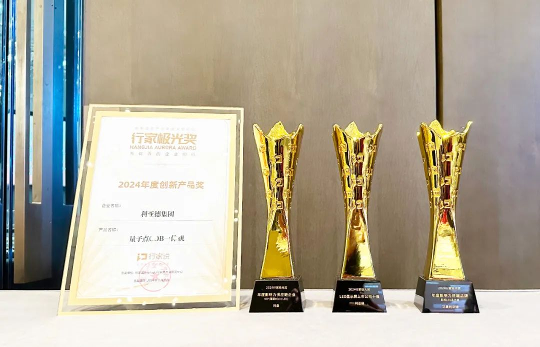 霸榜 | 四大榜单尽数囊括，EVO视讯官方网站集团连续五年斩获“极光”大奖